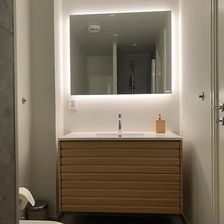 Koselig Skandinavisk Design דירה ברגן